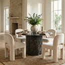 Celine - Velvet Performance Fabric Upholstered Dining Chair (Set of 2)