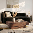 Plank - Mango Wood Coffee Table