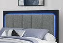 Emma - Queen Bed With LED And USB - Black / Gray
