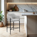 Dame - Fabric Upholstered Counter Stool (Set of 2)