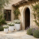 Florique - Indoor / Outdoor Concrete Planter