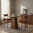 Monarch - Velvet Counter Stool (Set of 2)