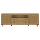 Arini - Rattan Cane 2-Door TV Stand Media Console