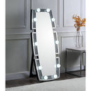 Noralie - 63" X 26" Floor Mirror With Faux Diamonds - Mirrored