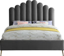 Lily - Bed