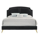 Zeena - Full Bed - Black Velvet