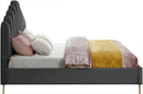 Lily - Bed