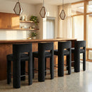 Zuno - Velvet Performance Fabric Upholstered Bar Stool (Set of 2)