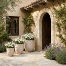 Florique - Indoor / Outdoor Concrete Planter